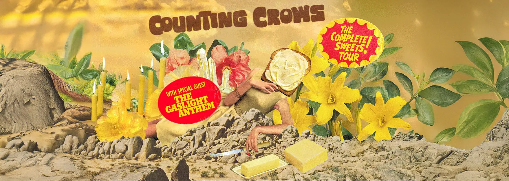 Counting Crows &amp; The Gaslight Anthem